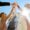 Substance Abuse Recovery Portland ME | Portland Treatment PHP IOP in Maine