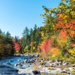 Effective Rehab Techniques: Your Guide to Recovery in Maine