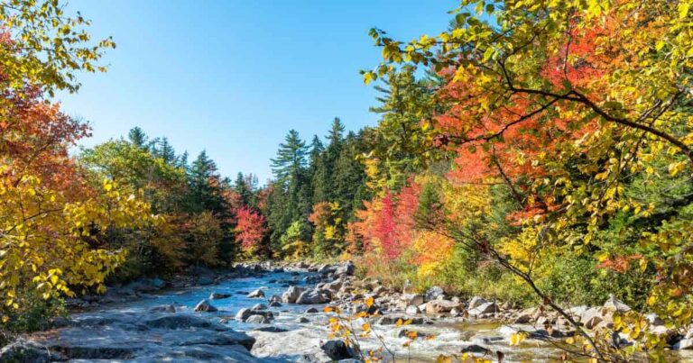 Effective Rehab Techniques: Your Guide to Recovery in Maine