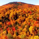 Thriving Together: IOP for Addiction Recovery near Poland, Maine with Portland Treatment