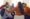 Finding Freedom IOP Programs in Bangor, Maine