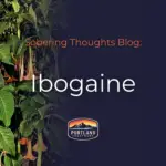 ibogaine treatment portland treatment center with Iboga plant pictured on the left