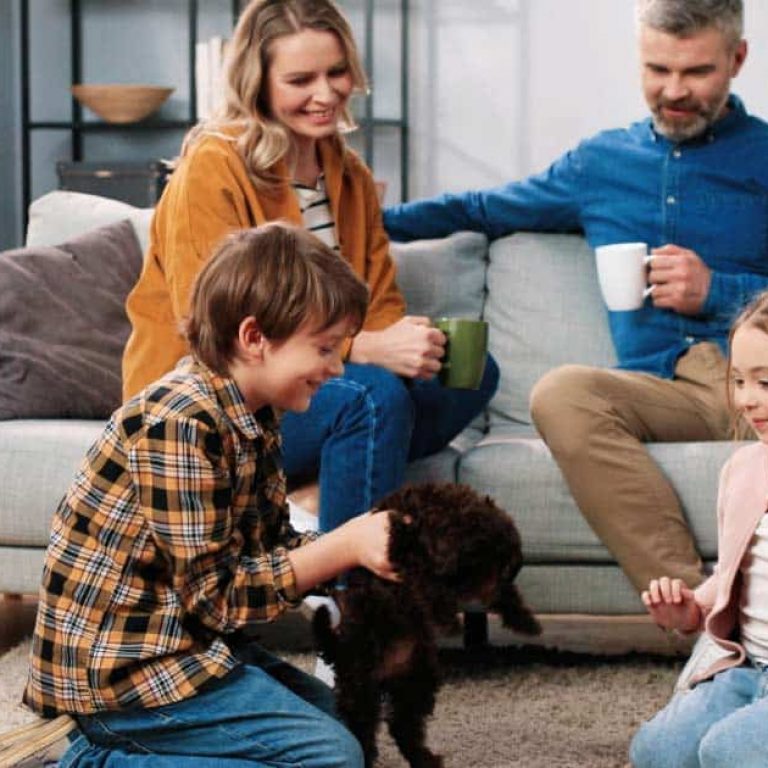 Family Integration in Addiction Treatment in Maine | Portland Treatment in Maine | PHP IOP in ME