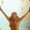 IOP Programs in Paris, Maine by Portland Treatment