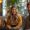 Recovery in CT for Harvard Pilgrim Members | Portland treatment in Maine | PHP IOP in ME